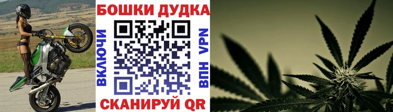 Галлюциногенные грибы Черноголовка