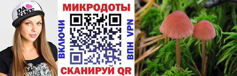 Псилоцибиновые грибы Cubensis  KRAKEN ONION  Черноголовка  где купить  